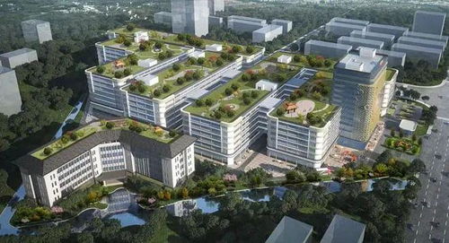 江門迎來企業(yè)投資熱潮，實業(yè)興城正當時